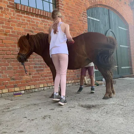 Apartmán Hof Thomsen