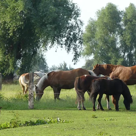 Hof Thomsen Apartmán