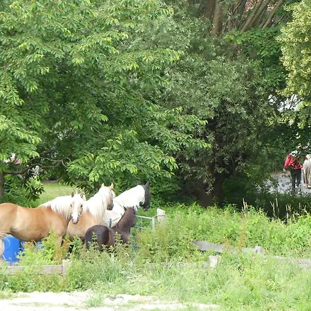 Hof Thomsen Gross Kordshagen