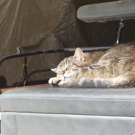 Hof Thomsen Apartmán