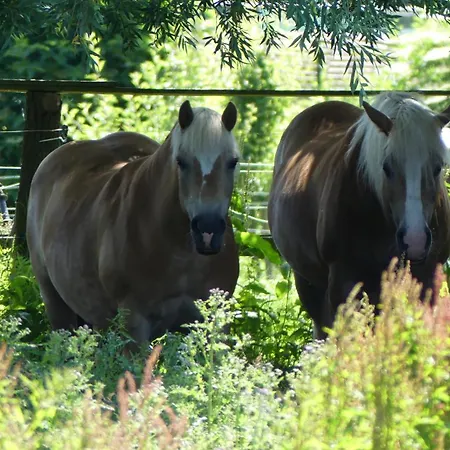 Apartmán Hof Thomsen