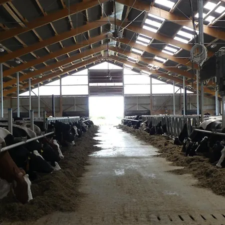 Apartmán Hof Thomsen *