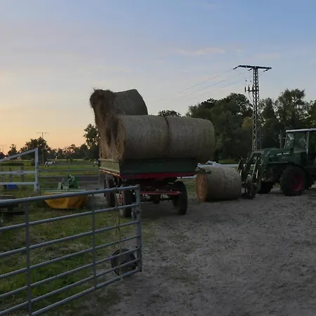 Apartmán Hof Thomsen Gross Kordshagen