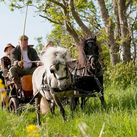 Hof Thomsen * Gross Kordshagen