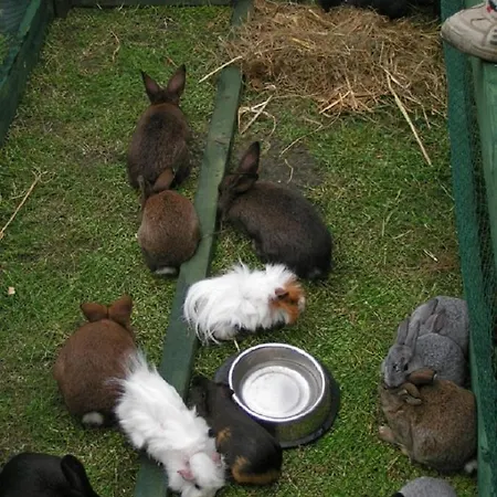 Hof Thomsen Gross Kordshagen