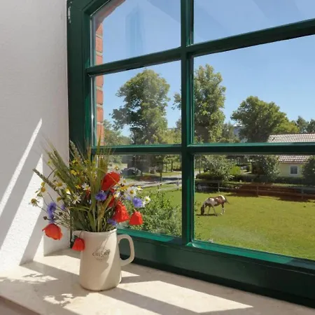 Hof Thomsen Apartmán *