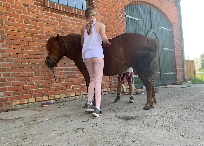 Apartment Hof Thomsen