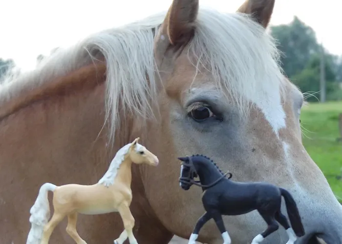 Hof Thomsen * Gross Kordshagen