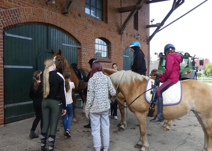 Hof Thomsen Apartment *