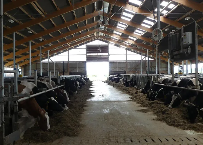 Apartment Hof Thomsen *