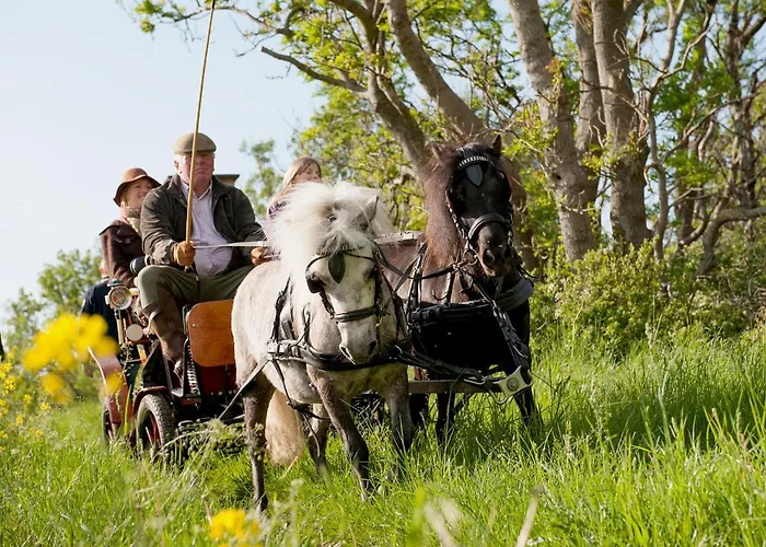 Hof Thomsen * Gross Kordshagen
